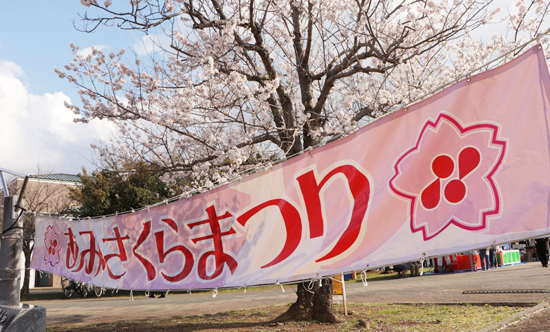 阿見町に春の訪れ告げる