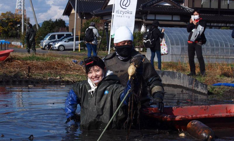 れんこん掘りも体験できます！